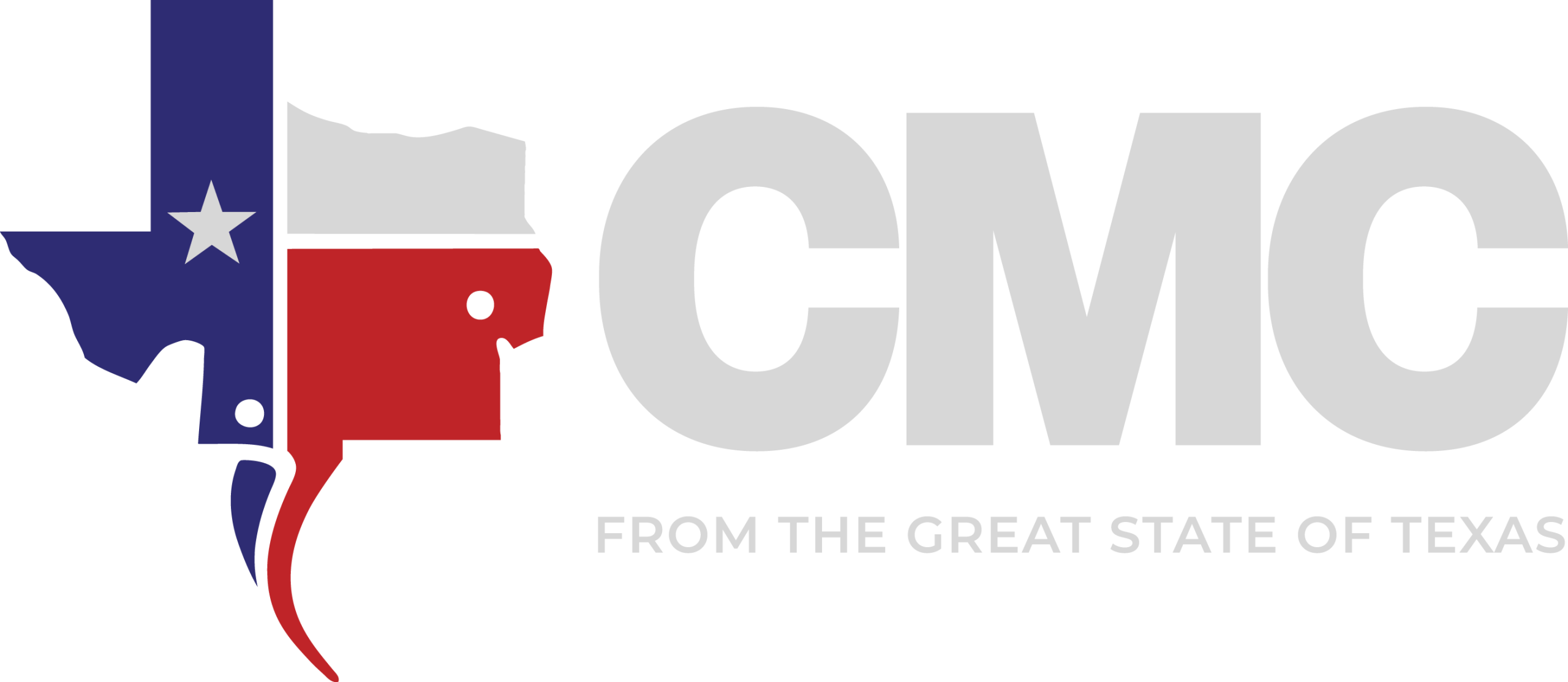 Political campaign logo featuring a stylized Texas outline in blue and red with a white star on the left and large light-gray text to the right, plus the subtitle 'FROM THE GREAT STATE OF TEXAS'.
